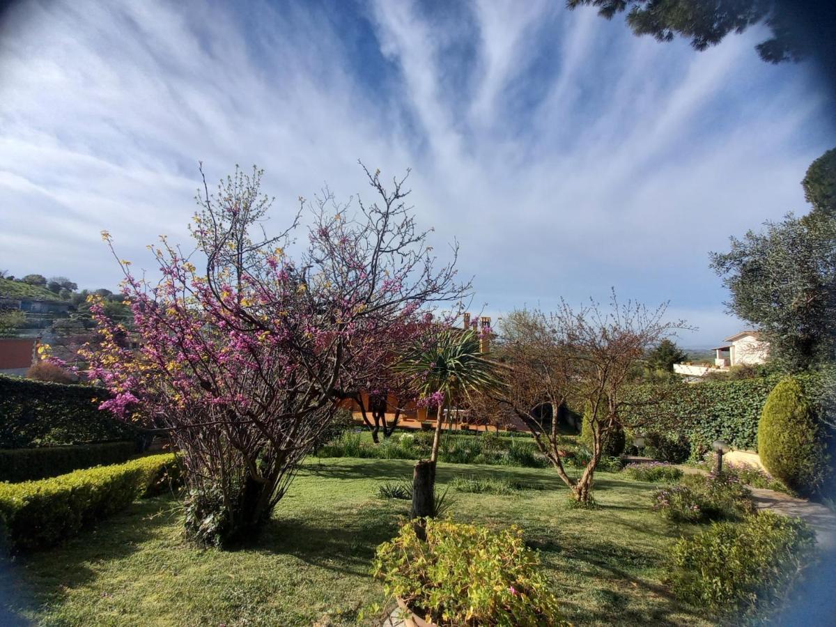Il Parco Holiday - Locazione Turistica Fonte Nuova Exteriör bild