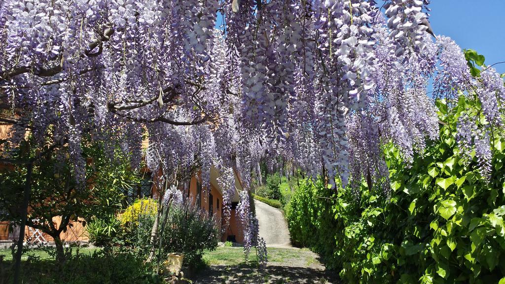 Il Parco Holiday - Locazione Turistica Fonte Nuova Exteriör bild